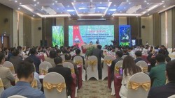 Hội thảo định hướng, giải pháp phát triển nhanh, bền vững ngành công nghiệp chế biến gỗ và lâm sản ngoài gỗ tỉnh Nghệ An