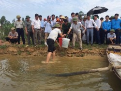 Sở Nông nghiệp và Phát triển nông thôn Nghệ An tổ chức Lễ thả cá nhân ngày truyền thống Ngành Thủy sản.