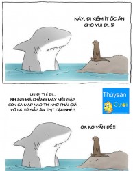 Cá mập đáng yêu