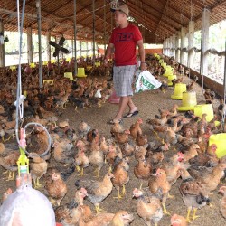 Hưng Hòa TP Vinh: Trang trại ven đô thu lãi trên 3 trăm triệu đồng năm
