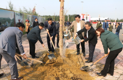 Nghệ An phát động Tết trồng cây "Đời đời nhớ ơn Bác Hồ'' Xuân Canh Tý  
