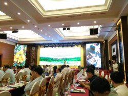 UBND tỉnh Nghệ An: Tổ chức Hội thảo khoa học “Cơ sở lý luận và thực tiễn trong việc xác định cây con chủ lực tỉnh Nghệ An”.