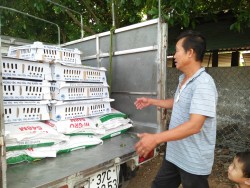 Trung tâm khuyến nông Nghệ An  tổ chức giao giống vịt và thức ăn cho mô hình “Nuôi vịt siêu thịt ” 