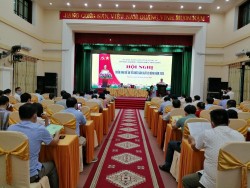 Nghệ an: Tổ chức Hội nghị triển khai Đề án tổ chức sản xuất vụ đông năm 2020.