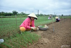 bna c qung luu9635421 192020