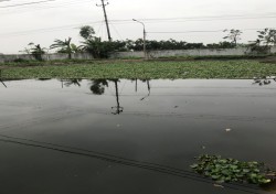 Một số biện pháp phòng chống rét cho thủy sản