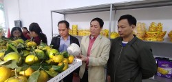  Hợp tác xã Nghi Trung khai trương gian hàng nông sản, thực phẩm sạch 