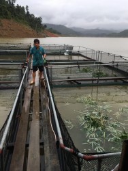 Nghệ An: Hiệu quả bước đầu từ việc đa dạng hóa đối tượng nuôi trồng thủy sản