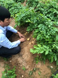 Yên Thành: Tấm gương người cán bộ khuyến nông làm ăn kinh tế giỏi