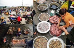 Cửa Lò: Nghề biển cho ngư dân thu nhập 10-15 triệu đồng mỗi tháng