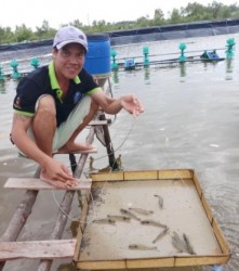 Làm thế nào để giảm chi phí trong nuôi tôm