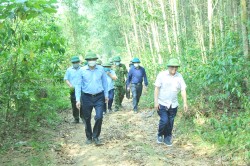 Phó Chủ tịch UBND tỉnh Hoàng Nghĩa Hiếu kiểm tra công tác phòng, chống cháy rừng tại Yên Thành