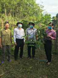 Huyện Tương Dương tổ chức hội thảo khoa học đánh giá kết quả thực hiện dự án và bàn giải pháp nhân rộng mô hình phục hồi và phát triển giống xoài bản địa