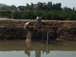 Giảm thiểu biến đổi khí hậu thông qua nuôi trồng thủy sản