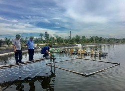 Sở Nông nghiệp &PTNT Nghệ An kiểm tra một số mô hình Khuyến nông năm 2021