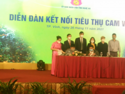 UBND tỉnh Nghệ An tổ chức “Diễn đàn kết nối tiêu thụ Cam Vinh”.UBND tỉnh Nghệ An tổ chức “Diễn đàn kết nối tiêu thụ Cam Vinh”.