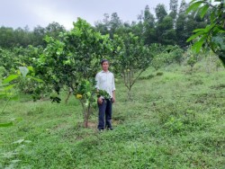 Phát triển kinh tế bằng mô hình tổng hợp