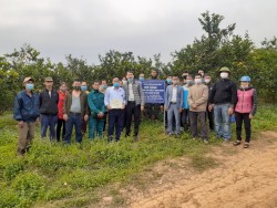 Trung tâm Khuyến nông tổ chức Hội thảo mô hình “Thâm canh cam theo tiêu chuẩn VietGAP”
