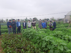 Tham quan học tập kinh nghiệm mô hình kết nối tiêu thụ sản phẩm.