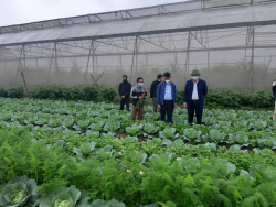 Nhìn lại hoạt động Khuyến nông Nghệ An năm 2021