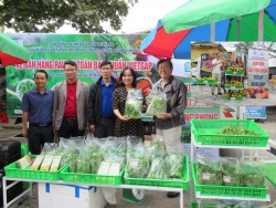 Hội thảo tổng kết các Dự án thí điểm “Khảo sát thu thập dữ liệu về phát triển chuỗi giá trị thực phẩm trong và hậu COVID-19” tại Nghệ An.