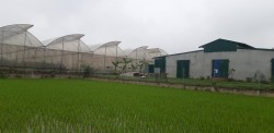 “ĐẤT NGỦ”xã Văn Thành huyện Yên Thành – Đã được “ĐÁNH THỨC”