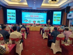 Hội nghị triển khai Đề án sản xuất, trồng trọt vụ Đông năm 2022.