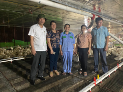 Thành công từ mô hình liên kết chăn nuôi vịt Grimaud tại huyện Tân Kỳ, tỉnh Nghệ An