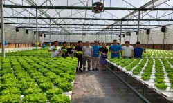Trung tâm Khuyến nông Nghệ An: Tham quan học tập kinh nghiệm chương trình hợp tác hoạt động Khuyến nông giữa tỉnh Nghệ An và Thành Phố Hồ Chí Minh