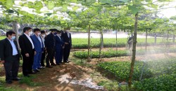 Phát triển nông nghiệp Nghệ An bền vững bằng ứng dụng công nghệ cao và theo hướng sinh thái