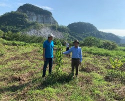 Nghiệm thu mô hình “ Trồng thâm canh na giống mới (na Thái) áp dụng công nghệ tưới nhỏ giọt”
