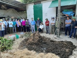 Cần tăng cường sử dụng phân bón hữu cơ trong sản xuất trồng trọt
