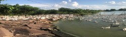  Thu nhập kinh tế cao từ mô hình nuôi chăn nuôi kết hợp
