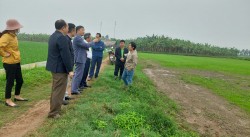 Một số giải pháp trong chăm sóc phòng trừ sinh vật gây hại cây trồng vụ Xuân 2023