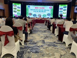 Nghệ An: Triển khai Đề án sản xuất trồng trọt vụ Hè thu, Mùa năm 2023