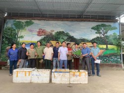 Triển khai bàn giao giống và trồng sen tại Kim Liên - Nam Đàn