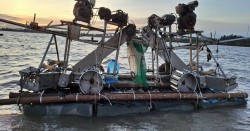 Để nuôi trồng thủy sản mặn lợ ven biển Nghệ An sớm bứt phá