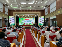 UBND tỉnh Nghệ An: Tổ chức Hội nghị triển khai Đề án sản xuất trồng trọt vụ Hè Thu, Mùa năm 2024
