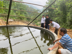 Trung tâm Khuyến nông tỉnh Nghệ An: Triển khai xây dựng mô hình nuôi cá tầm trong bể tại huyện Quế Phong
