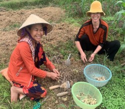 Hành Tăm cây trồng mang lại thu nhập cao cho người dân xã Diễn Nguyên, huyện Diễn Châu.