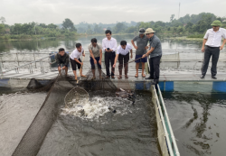 Nghệ An: Giá trị từ đặc sản thủy sản nội địa