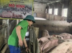 Nghiệm thu mô hình “Chăn nuôi lợn thịt an toàn sinh học”