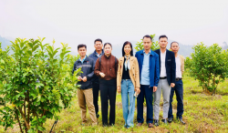 Nghiệm thu mô hình trồng ổi lê Đài Loan theo tiêu chuẩn VietGAP tại xã Bích Hào