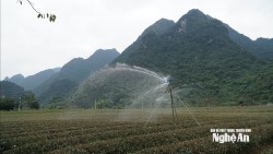 Nông dân Nghệ An ứng dụng công nghệ, nâng cao hiệu quả tưới cho cây trồng
