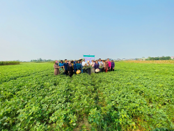 Hội thảo đầu bờ đánh giá mô hình sản xuất thử giống lạc mới L29 tại xã Trung Lộc