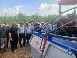Công ty Cổ phần Mía đường Sông Lam tổ chức chương trình trình diễn máy cơ giới phục vụ sản xuất mía