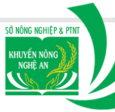 Giải pháp để mô hình nông nghiệp nhà lưới công nghệ cao ở Nghệ An phát triển bền vững