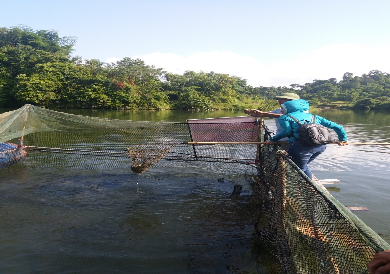 Một số kinh nghiệm nuôi cá lồng trên sông, hồ