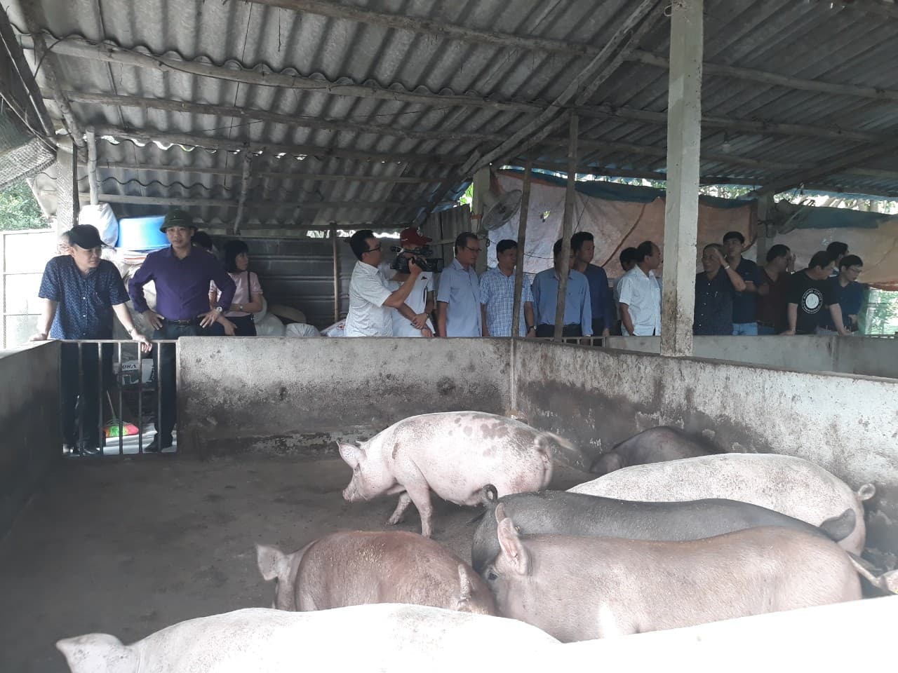 Trung tâm Khuyến nông Nghệ An: Tổ chức tham quan học tập các tiến bộ KHKT gắn với phòng, chống bệnh dịch tả lợn Châu Phi