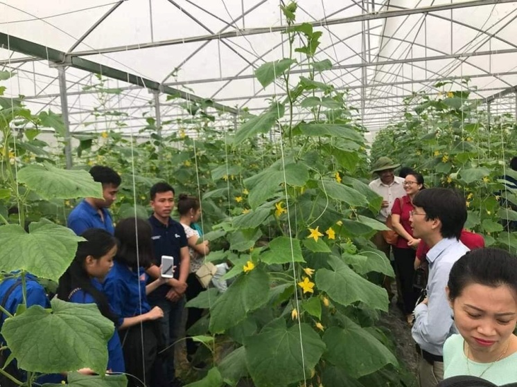 Nghệ An: Khuyến khích nhân rộng mô hình sản xuất nông nghiệp công nghệ cao tại huyện Nam Đàn